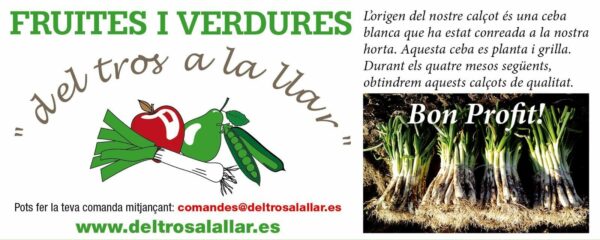 Calçots - Imatge 2