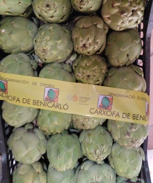 Cartxofes