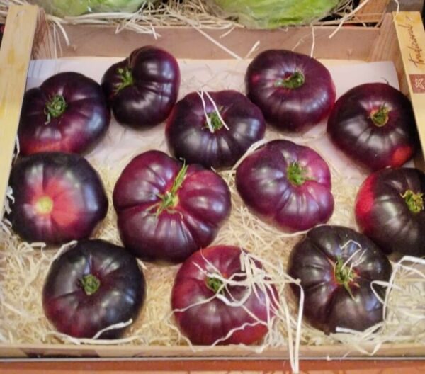 Tomàquet